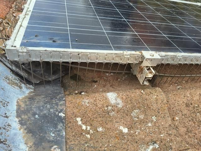solar-panel-bird-proofing-services-6-kireth-ai