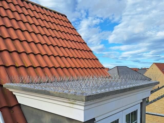 bird-proofing-services-7-kireth-ai
