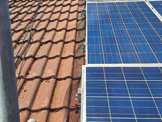 solar-panel-bird-proofing-services-8-kireth-ai