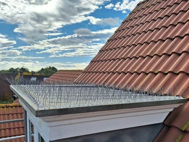 bird-proofing-services-1-kireth-ai