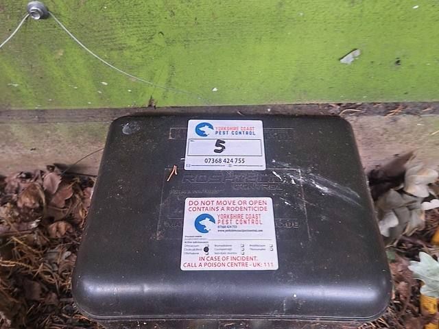 rodent-control-services-7-kireth-ai-2