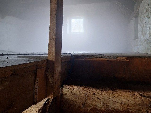 woodworm-treatment-services-13-kireth-ai