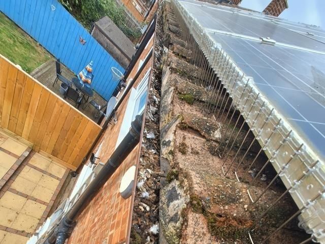 solar-panel-bird-proofing-services-5-kireth-ai
