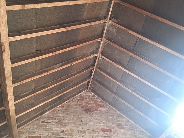 woodworm-treatment-services-16-kireth-ai